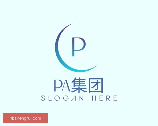 发现PA集团